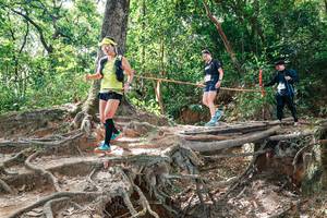 BIB: 
                            <button type="button" onclick="openModal(27721959)" class="btn btn-primary btn-sm float-right btn-popup" data-toggle="modal" data-target=".modal-high-quality">
                        <i class="fas fa-shopping-cart"></i> Add to Cart
                    </button>
                                            <button type="button" onclick="isThisMe(27721959, true)" class="btn btn-success btn-sm float-right btn-popup btn-isme hidden" data-toggle="tooltip" data-placement="bottom" title="นี่คือรูปของคุณใช่ไหม คลิกที่นี่เพื่อเอาเข้าอัลบั้ม">
                        <i class="fas fa-plus"></i> Add to album
                    </button>
                    <button type="button" onclick="isThisMe(27721959, false)" class="btn btn-warning btn-sm float-right btn-popup btn-isnotme hidden">
                        <i class="fas fa-ban"></i> Remove from album
                    </button>